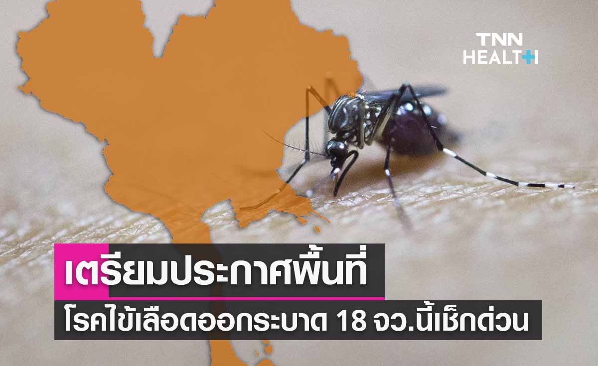 เตรียมประกาศพื้นที่ ‘ไข้เลือดออกระบาด’ ใครอยู่ 18 จว.นี้เช็กด่วน!