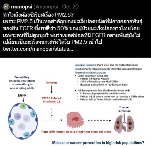 น่าห่วง!หมอเผยเชียงใหม่ป่วยมะเร็งปอดสูง อุบัติการเกิดมะเร็งเกินค่าเฉลี่ย