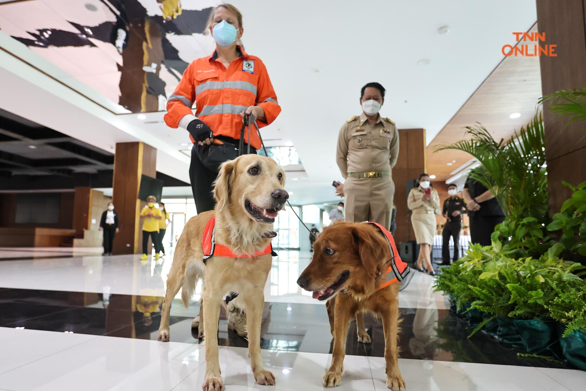 อวดความน่ารัก เซียร่า-ซาฮาร่า  ชุดปฎิบัติงานทีม USAR Thailand เข้าพบผู้ว่า กทม.