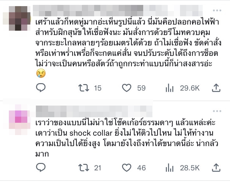ชาวเน็ตสงสัย! เครื่องประดับบนคอ ดิว อรสรา คล้ายกับเครื่องฝึกสุนัข?