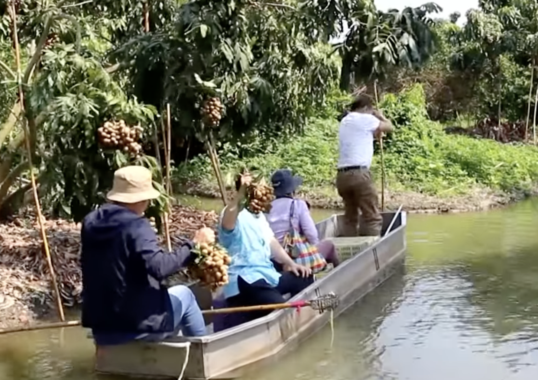 พายเรือชม-ชิมลำไย กระตุ้นท่องเที่ยวราชบุรี