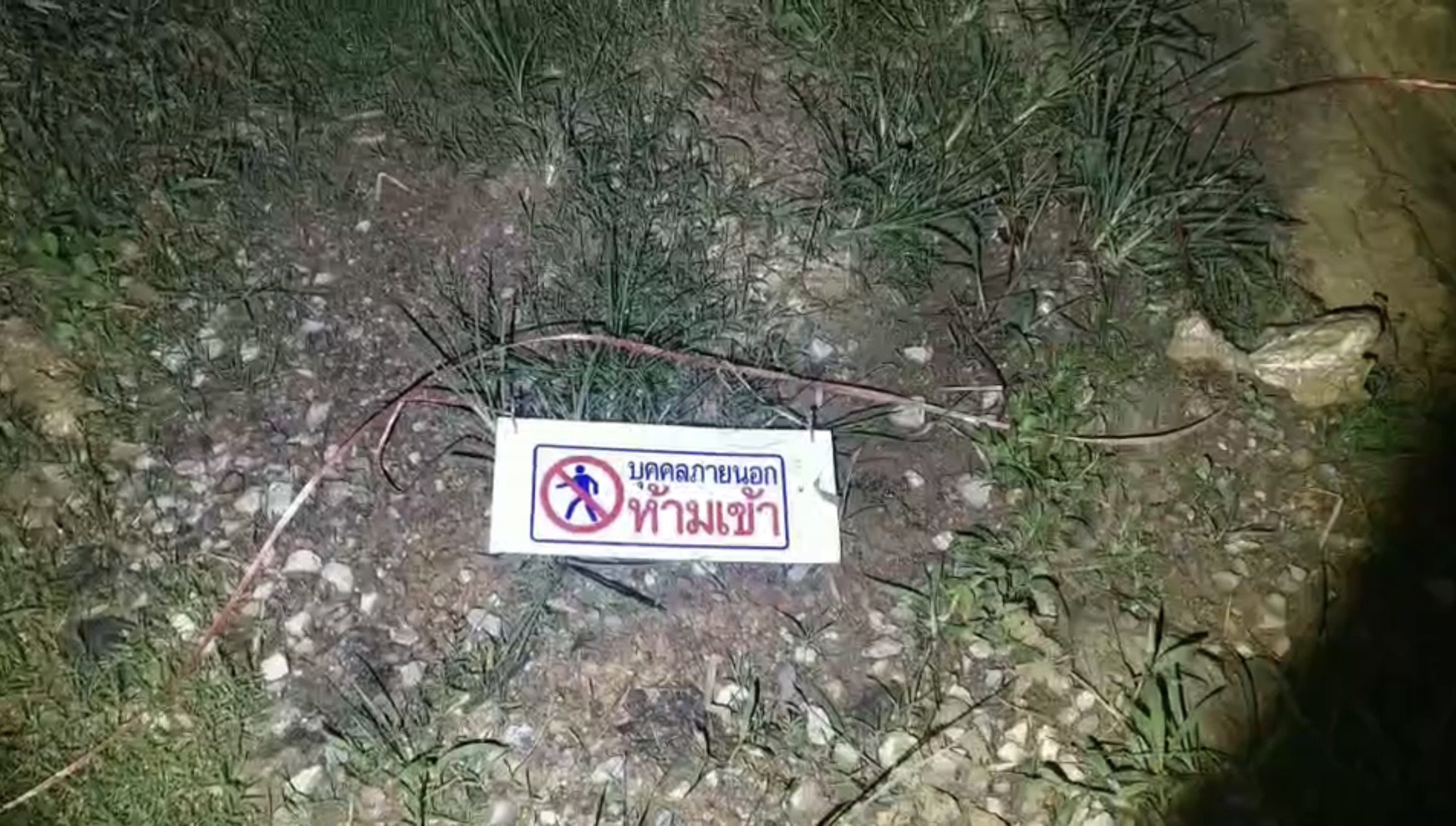 หวังตัดยกสวน! ทุเรียนราคาแพง 2 โจรเหิมออกขโมยกลางดึก