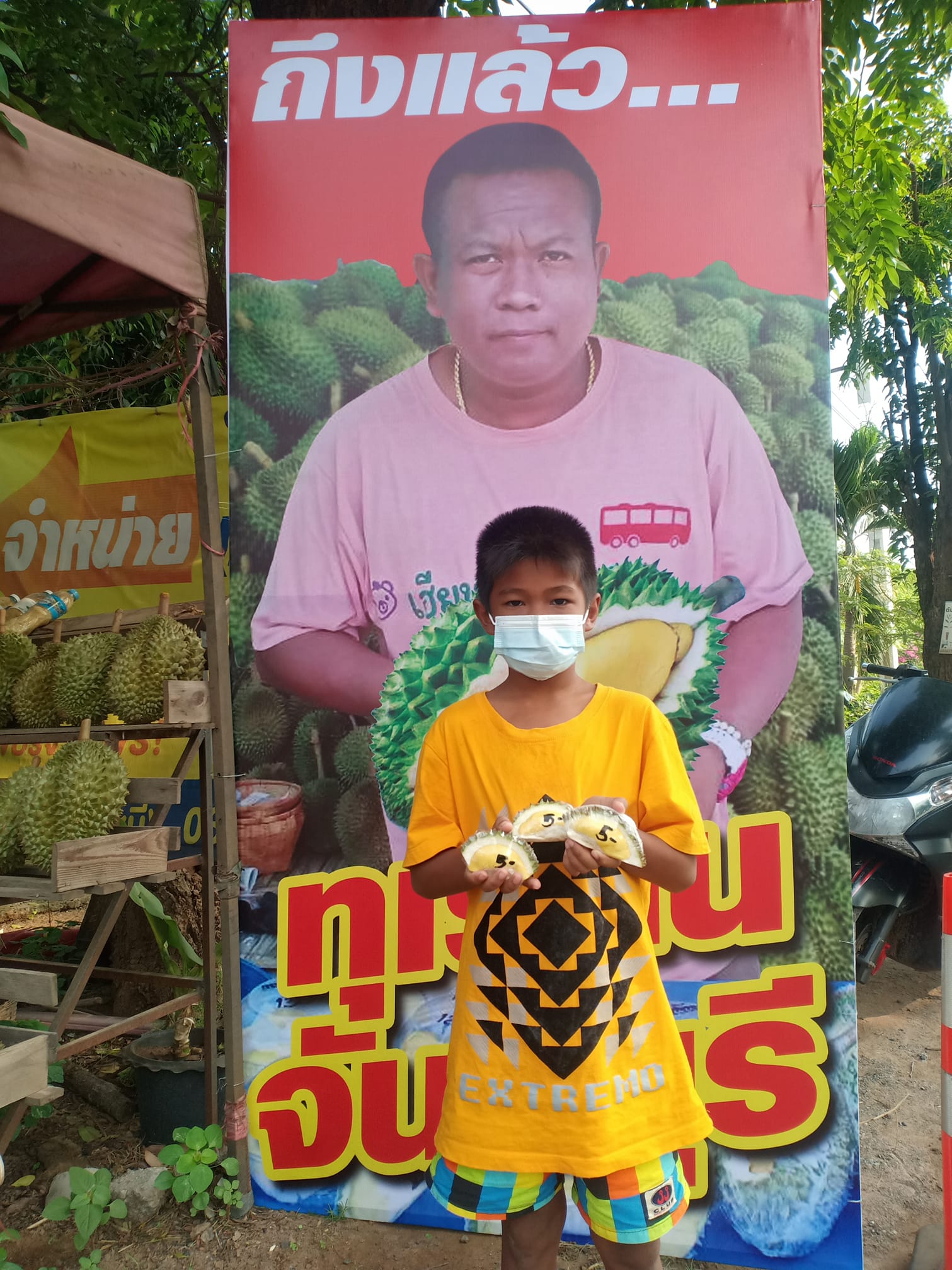 โซเชียลน้ำลายสอ “ทุเรียนพูละ 5 บาท” คนงบน้อยก็อร่อยได้ โซเชียลน้ำลายสอ “ทุเรียนพูละ 5 บาท” คนงบน้อยก็อร่อยได้