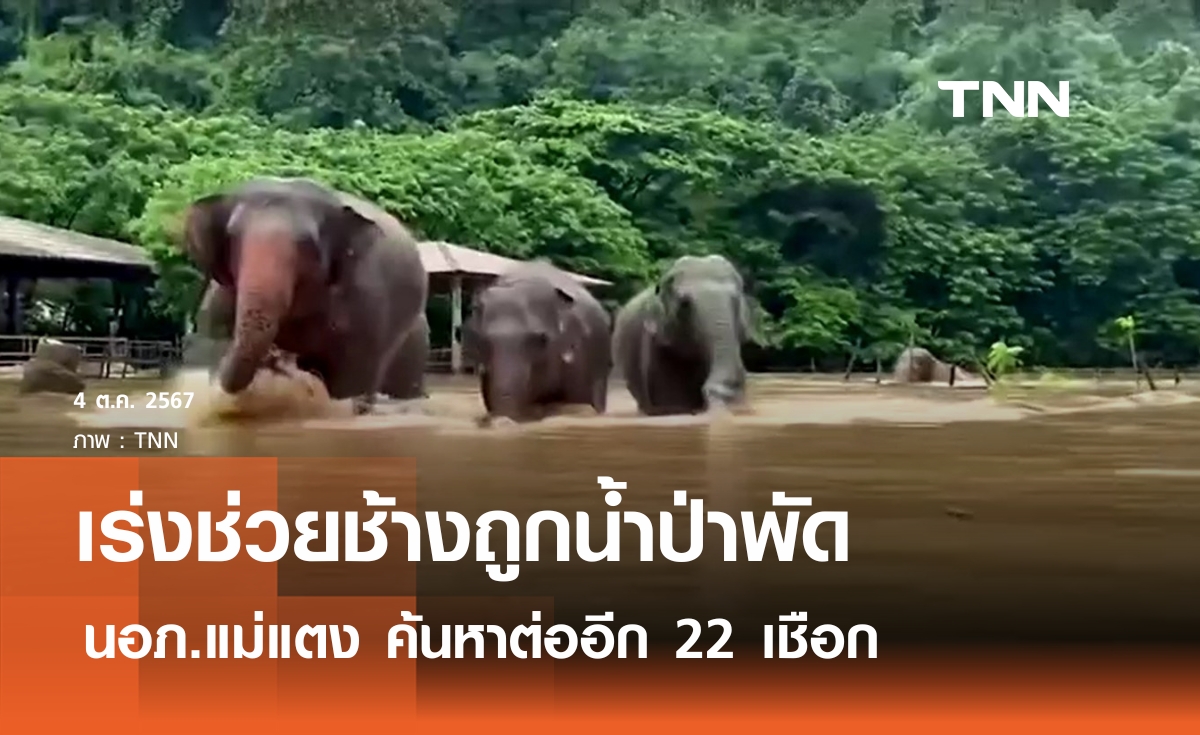 หลายหน่วยงานเข้าช่วยเหลือช้างที่ศูนย์บริบาลช้างไทยอำเภอแม่แตงถูกน้ำป่าพัดหาย 100 กว่าเชือก