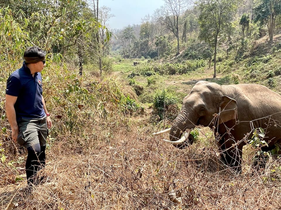 ‘หมอล็อต’ เผยเรื่องราวประทับใจรักษาช้างป่าผ่านไป 12 ปียังจำกันได้ ‘หมอล็อต’ เผยเรื่องราวประทับใจรักษาช้างป่าผ่านไป 12 ปียังจำกันได้
