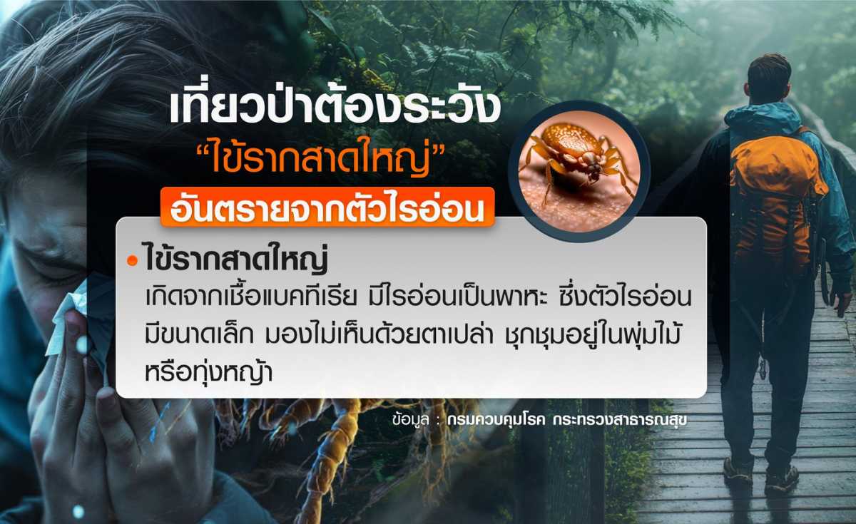 เที่ยวป่าต้องระวัง ไข้รากสาดใหญ่ เชื้ออันตรายจาก ตัวไรอ่อน 
