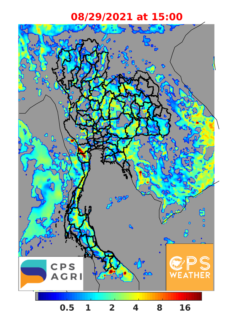 พยากรณ์ฝนวันนี้ พื้นที่ไหนชุ่มฉ่ำ ตกหนัก-เบา เช็กเลย!