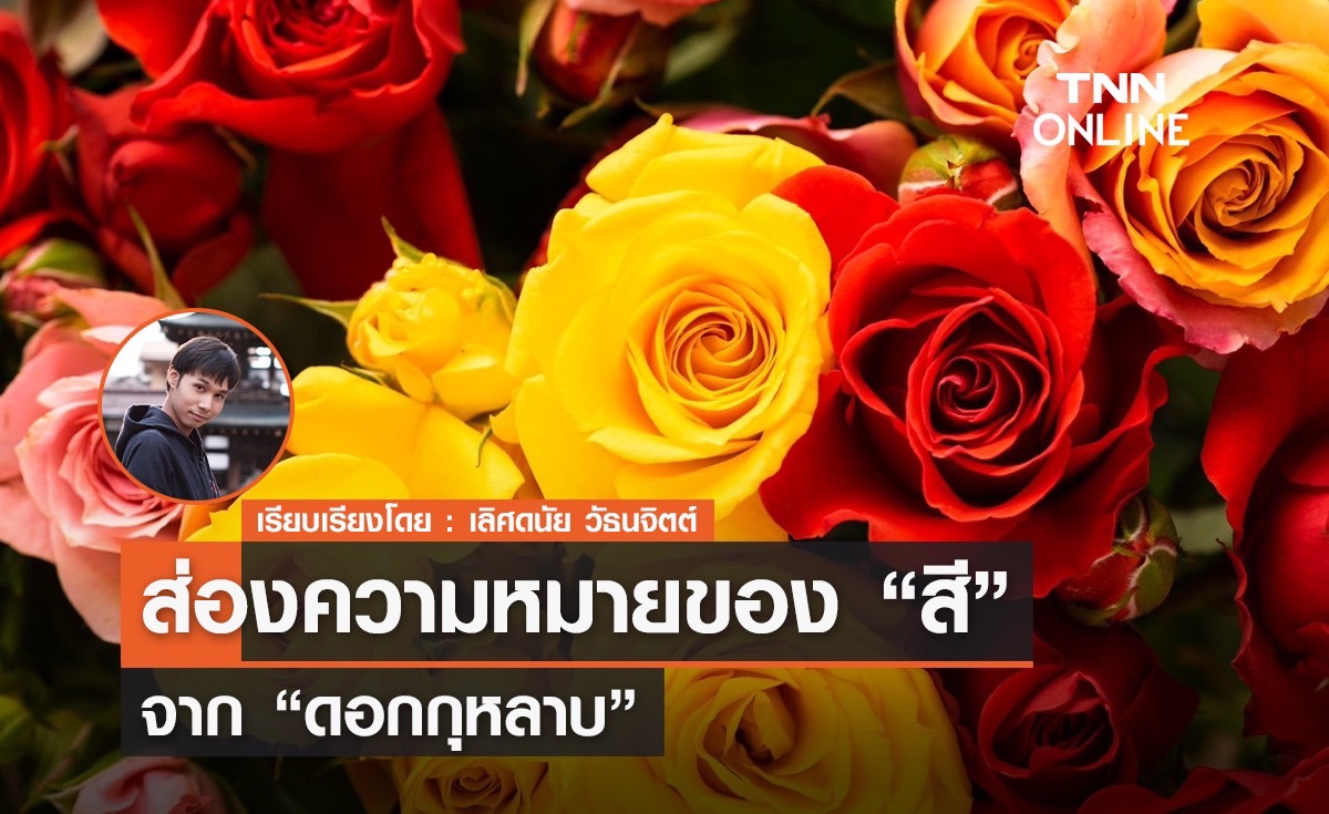ส่องความหมายของ "สี" จาก "ดอกกุหลาบ"