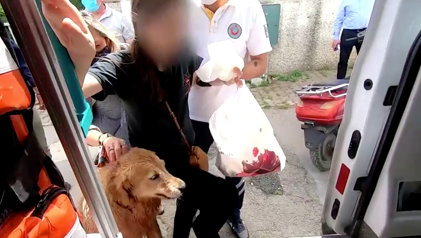 เอ็นดู! สุนัขวิ่งตามรถพยาบาลส่งเจ้าของไปรักษาตัว เอ็นดู! สุนัขวิ่งตามรถพยาบาลส่งเจ้าของไปรักษาตัว