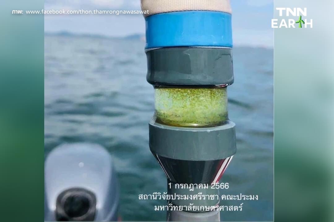 ดร.ธรณ์ เผยสาเหตุ น้ำทะเลสีเขียวหลายแห่งในชลบุรี