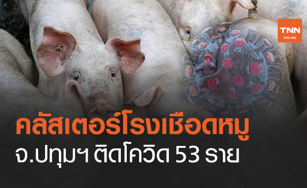 คลัสเตอร์โรงงานชำแหละเนื้อหมู ปทุมธานี ติดโควิดแล้ว 53 ราย สธ.ยันควบคุมได้