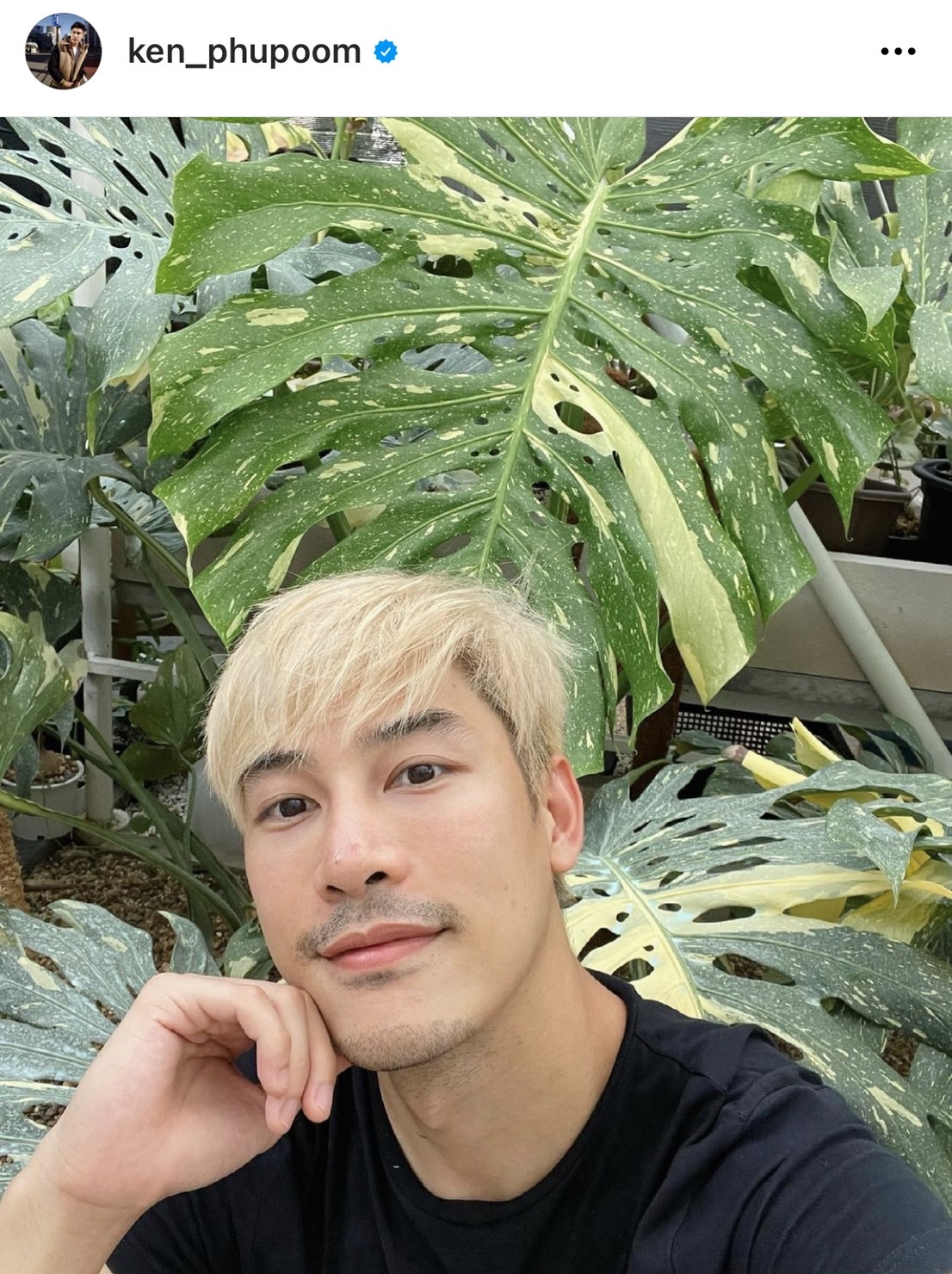 จากหลักร้อยสู่หลักล้าน เคน ภูภูมิ เผยรายได้สุดปังจากการขายต้นไม้ จากหลักร้อยสู่หลักล้าน เคน ภูภูมิ เผยรายได้สุดปังจากการขายต้นไม้