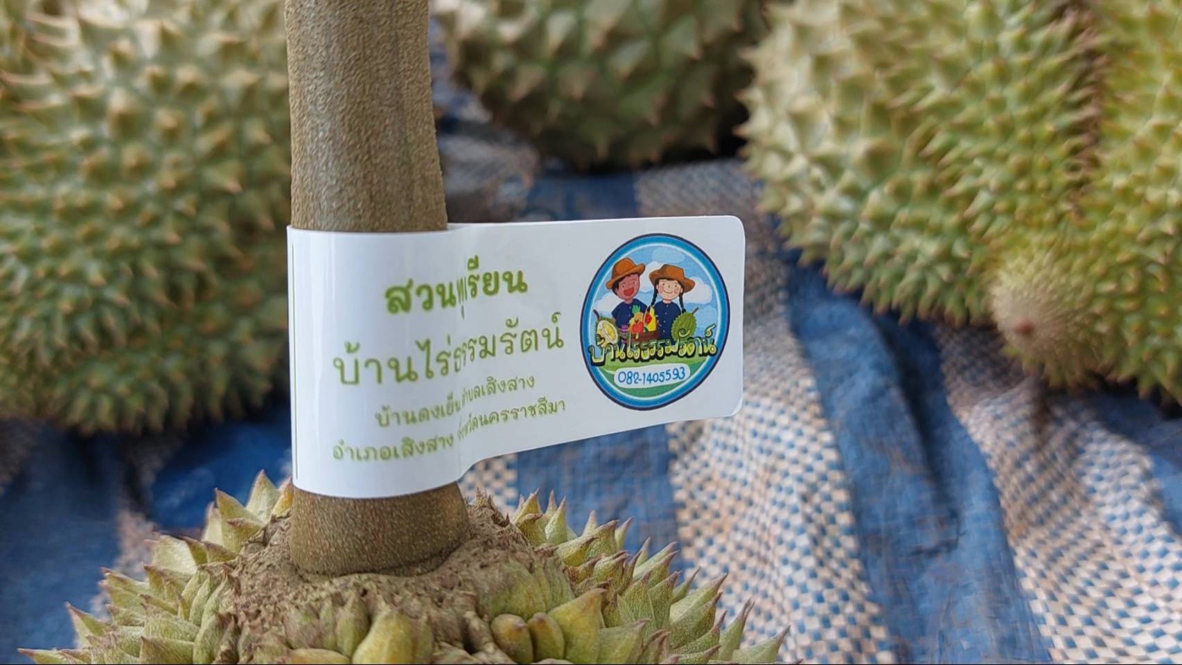 มาแล้ว”ทุเรียนเสิงสาง”  ตอบโจทย์ผู้ที่ไม่ชอบกลิ่นทุเรียน  