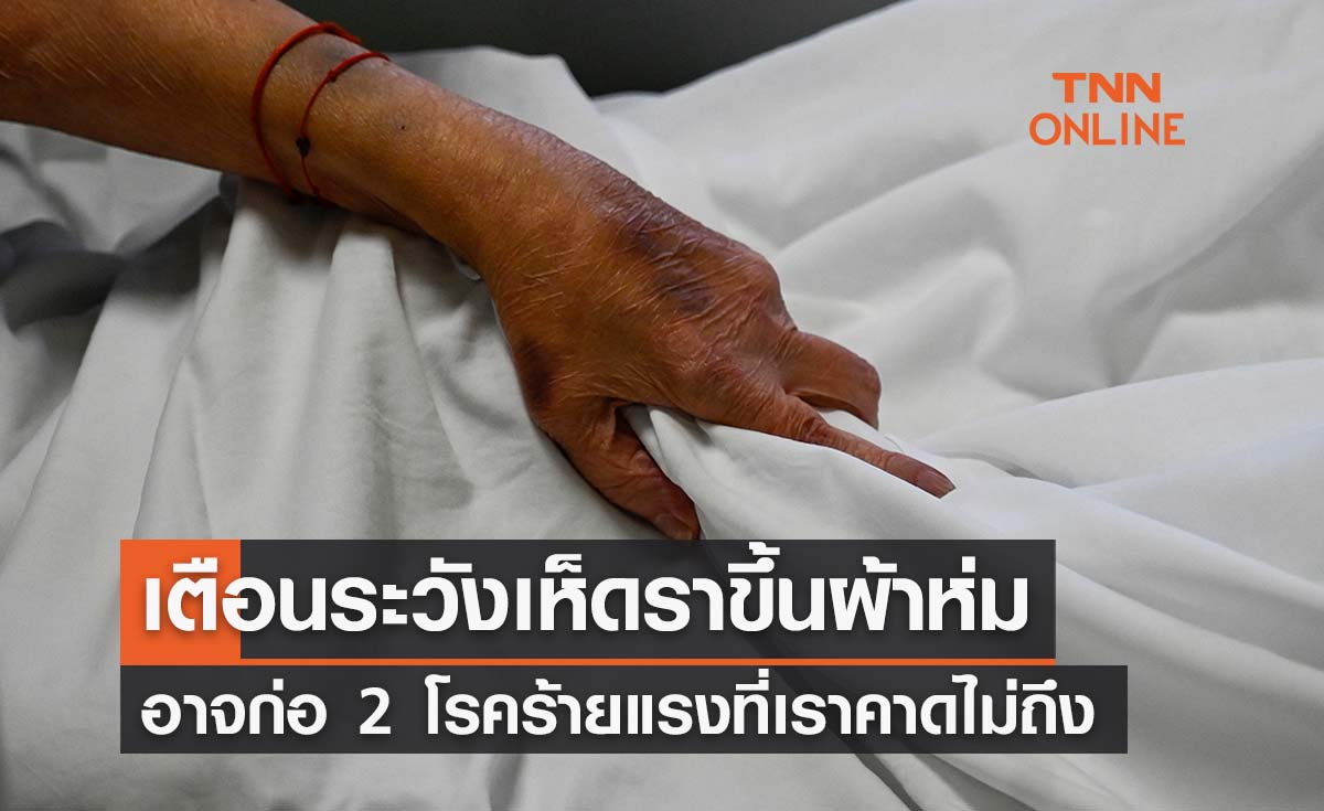 เตือนระวัง! ‘เห็ดรา’ ขึ้นผ้าห่ม ก่อ 2 โรคร้ายแรงที่เราคาดไม่ถึง