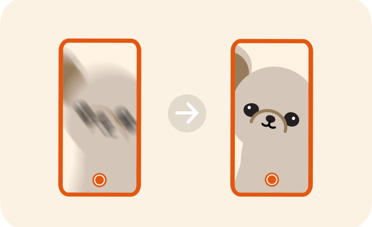 แอปพลิเคชัน Petnow ระบุตัวตนสัตว์เลี้ยงด้วยลายจมูกและใบหน้า แอปพลิเคชัน Petnow ระบุตัวตนสัตว์เลี้ยงด้วยลายจมูกและใบหน้า