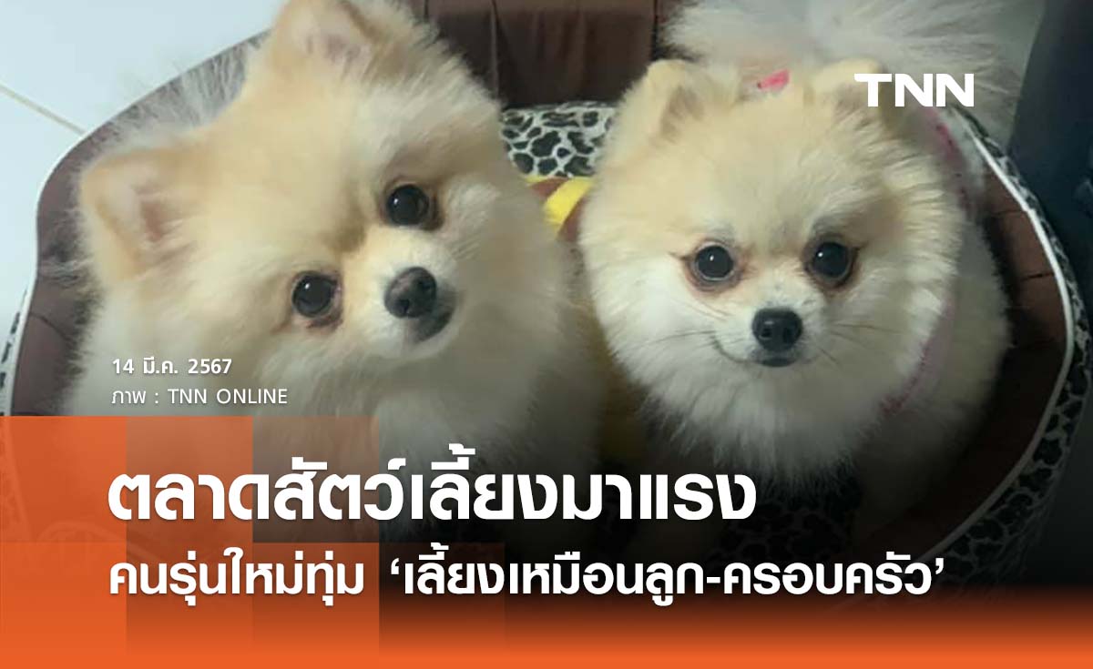 ปี 2567 ตลาดสัตว์เลี้ยงมาแรง คนรุ่นใหม่ทุ่มเลี้ยงเหมือนคนในครอบครัว 