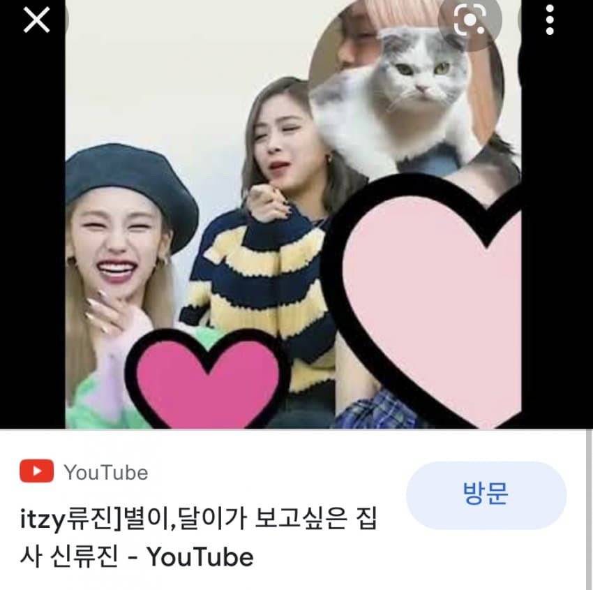 แฮชาน NCT และ รยูจิน ITZY ตกเป็นข่าวเดตกันอีกครั้งหลังชาวเน็ตวิเคราะห์ชื่อสัตว์เลี้ยง