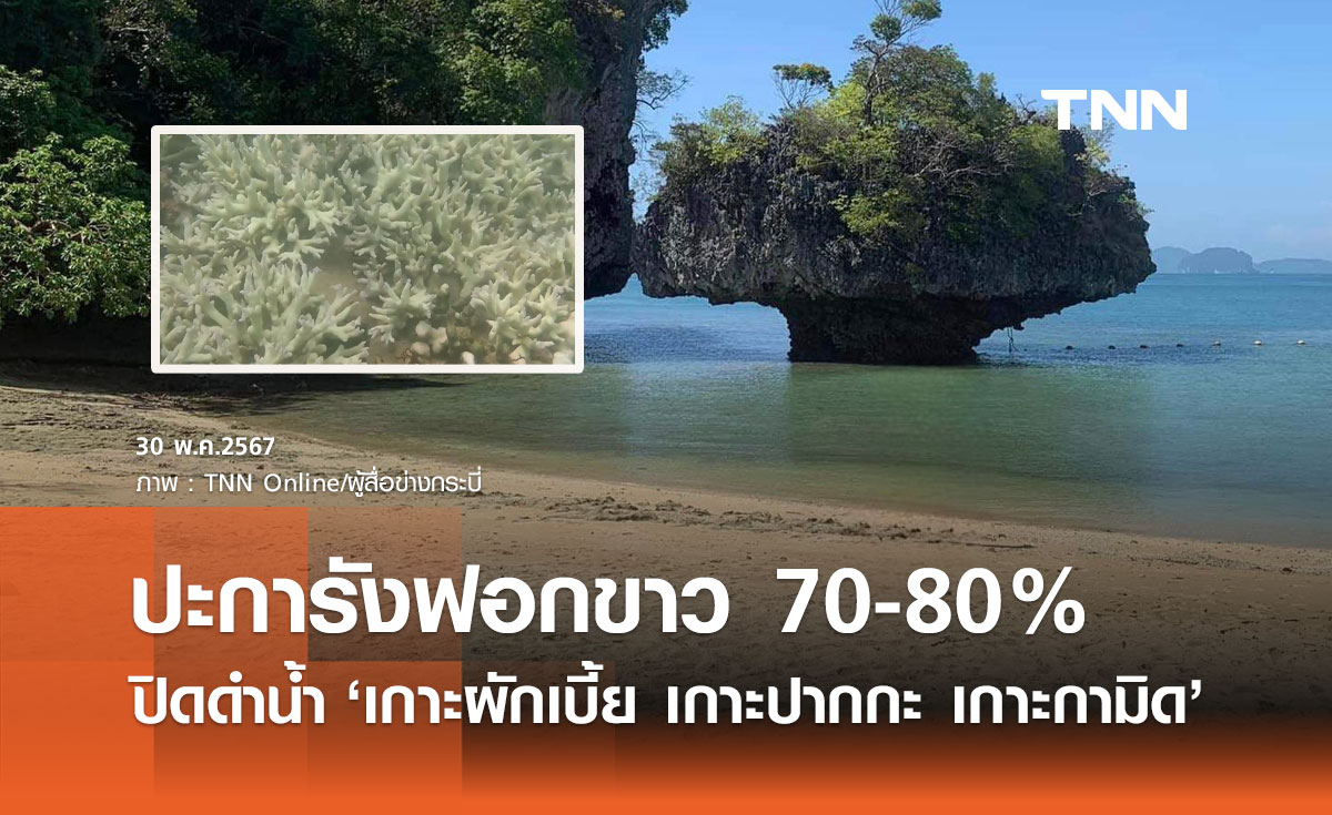 ปิดดำน้ำ "เกาะผักเบี้ย เกาะปากกะ เกาะกามิด" พบปะการังฟอกขาว 70-80%