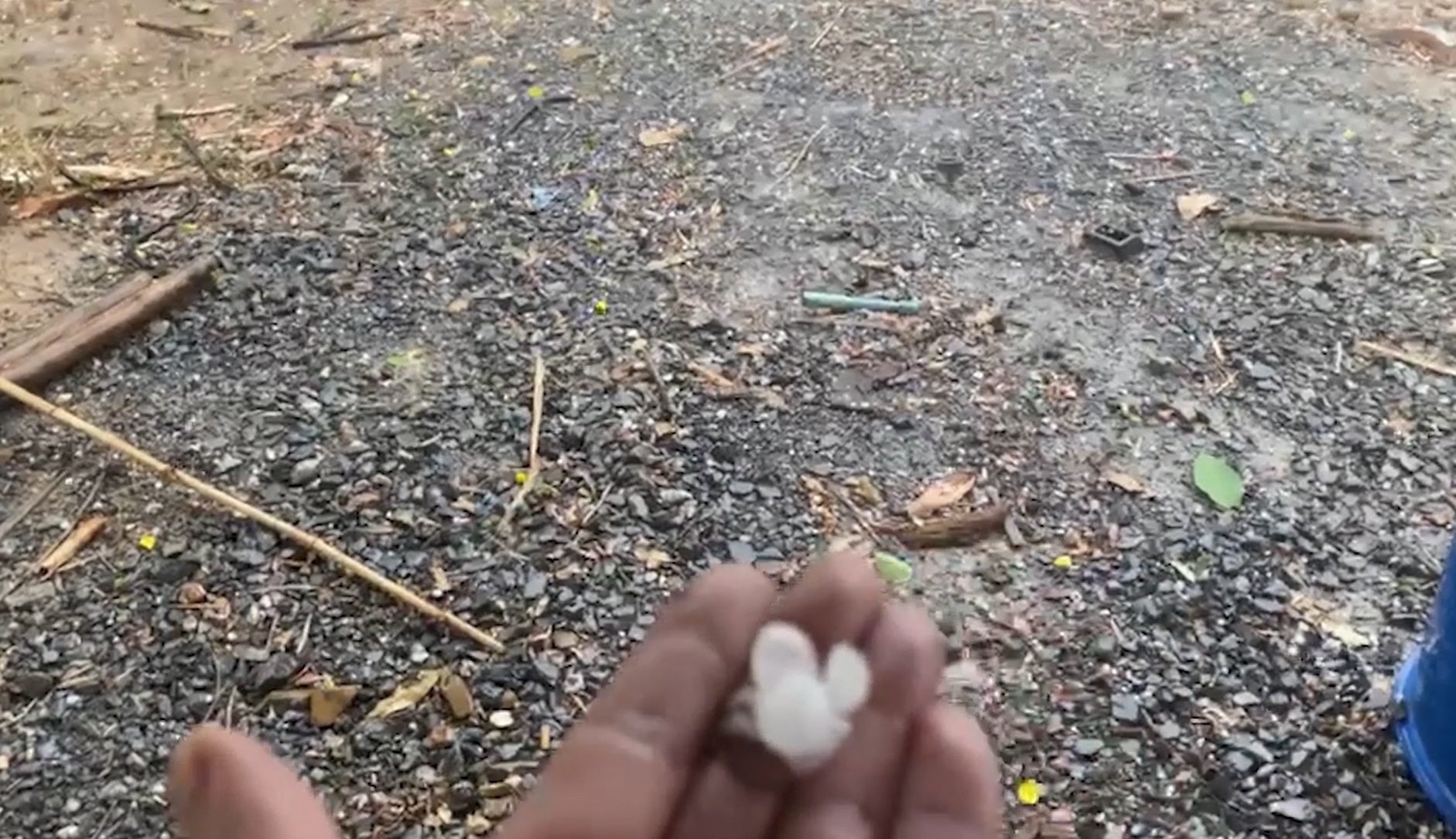เปิดภาพ พายุลูกเห็บถล่ม จ.เลย อุณหภูมิลดฮวบเหลือ 29 องศาฯ