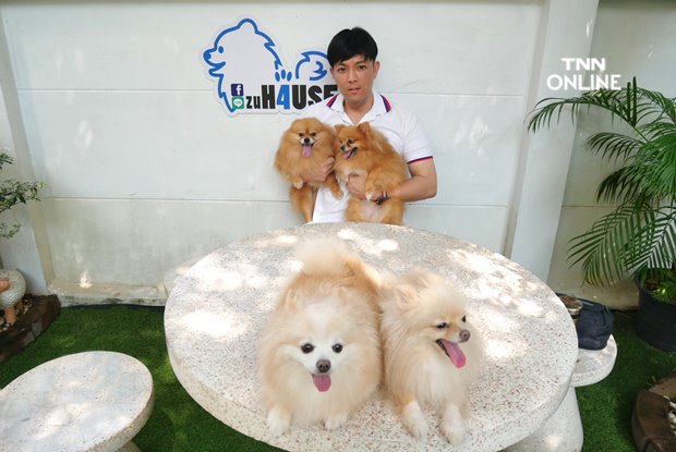 เปิดกลยุทธ์ โรงแรมสุนัข ปรับธุรกิจรับฝากสัตว์เลี้ยง ยามโควิดระบาด