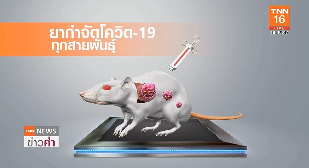 นักวิจัยออสเตรเลีย ค้นพบยารักษาโควิด-19 ทุกสายพันธุ์!