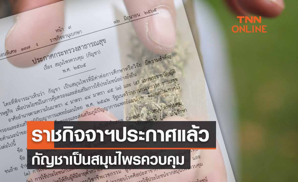 ราชกิจจาฯประกาศแล้ว! ‘กัญชา’ เป็นสมุนไพรควบคุมห้ามสูบพื้นที่สาธารณะ ราชกิจจาฯประกาศแล้ว! ‘กัญชา’ เป็นสมุนไพรควบคุมห้ามสูบพื้นที่สาธารณะ