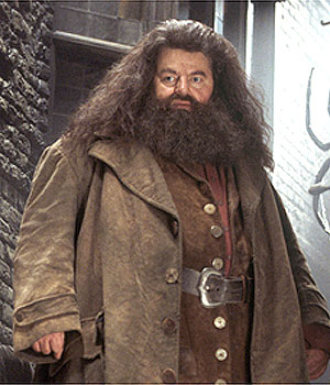 เสียชีวิตแล้ว!! 'ร็อบบี้ โคลทราน’ ผู้สวมบท 'แฮกริด’ หนัง Harry Potter วัย 72 ปี