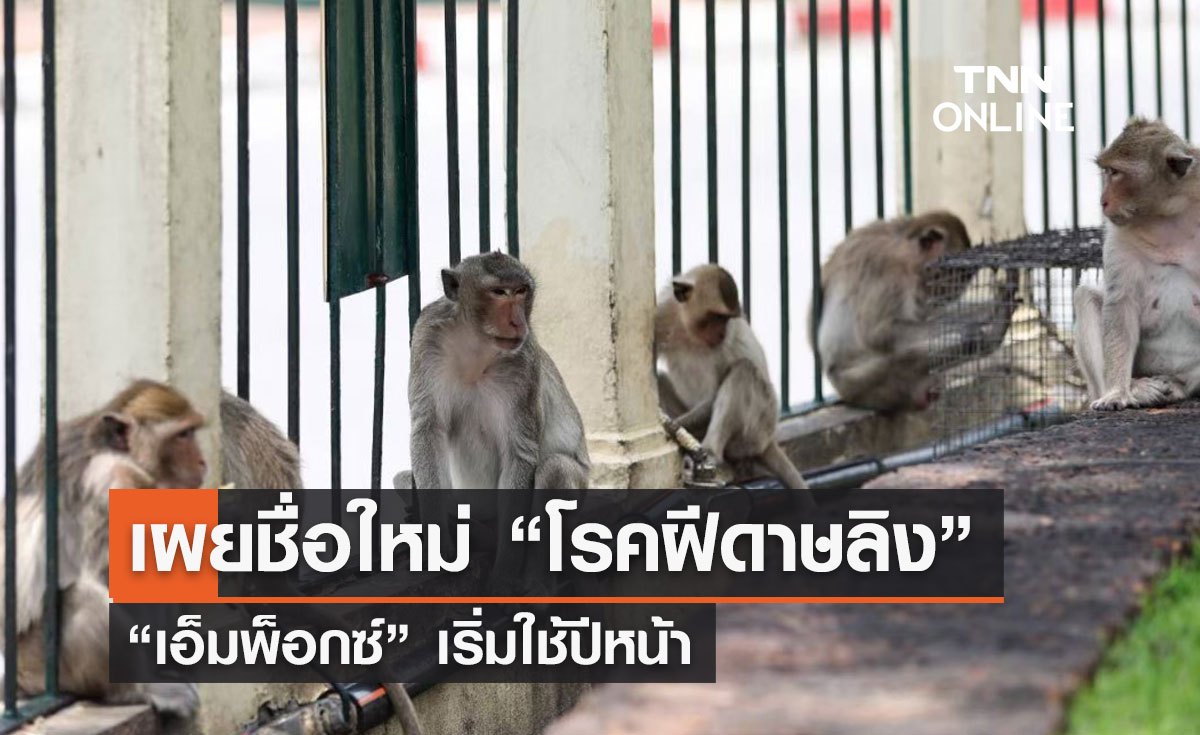 WHO เผยชื่อใหม่โรคฝีดาษลิง “เอ็มพ็อกซ์” เริ่มใช้ปีหน้า 