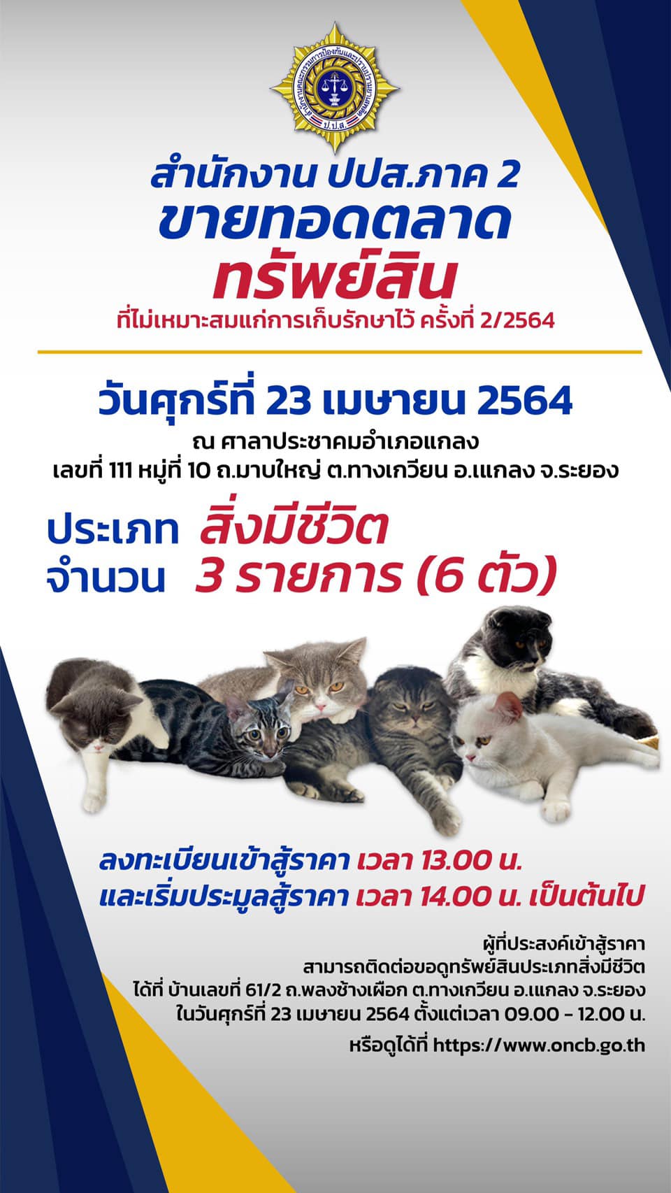 ป.ป.ส.นัดประมูลขาย แมวของกลาง กุ๊กระยองพรุ่งนี้ ป.ป.ส.นัดประมูลขาย แมวของกลาง กุ๊กระยองพรุ่งนี้