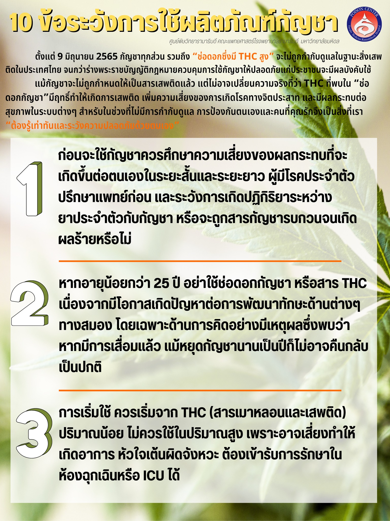 10 ข้อควรระวังในการใช้ผลิตภัณฑ์กัญชาก่อนปลดล็อก 9 มิ.ย. นี้ 