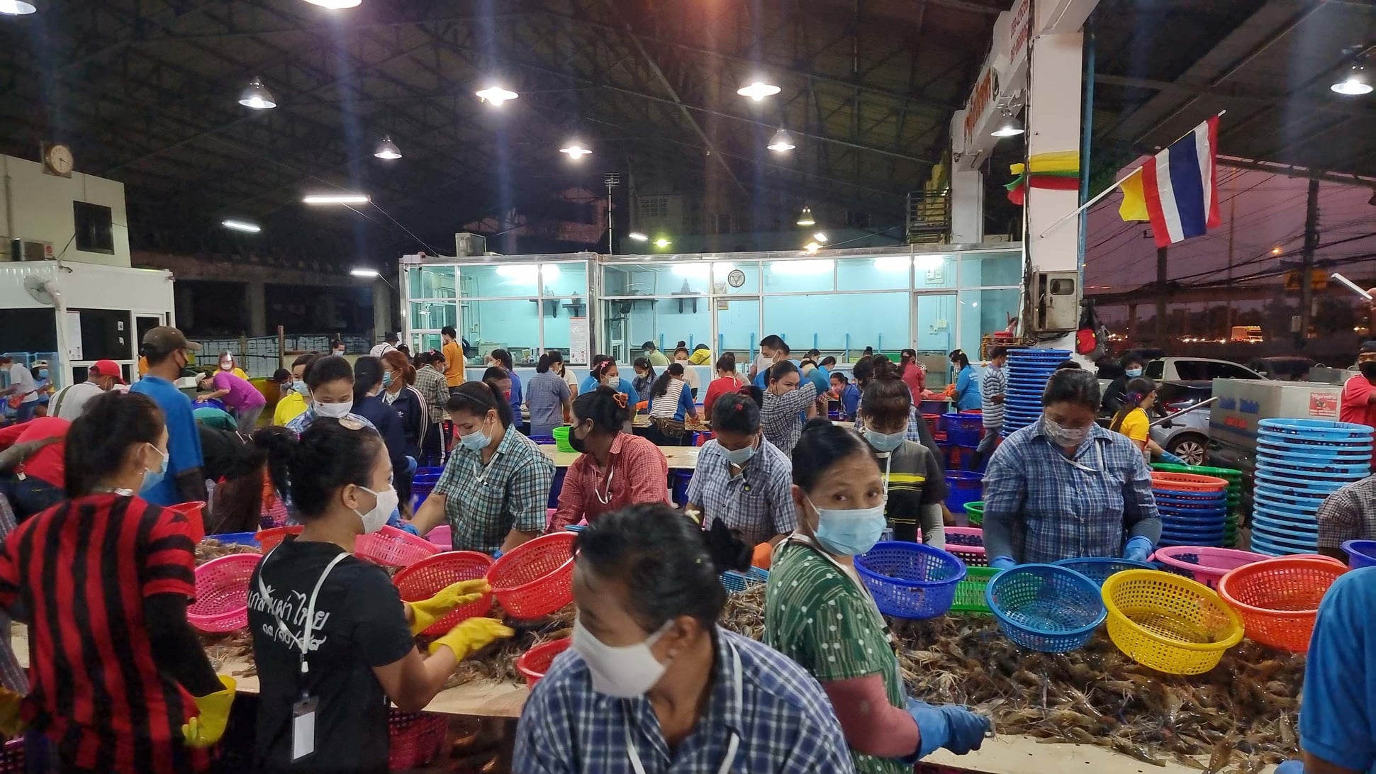 ตลาดกลางกุ้ง สมุทรสาครเปิดแล้วซื้อ-ขายแบบ New Normal ตลาดกลางกุ้ง สมุทรสาครเปิดแล้วซื้อ-ขายแบบ New Normal