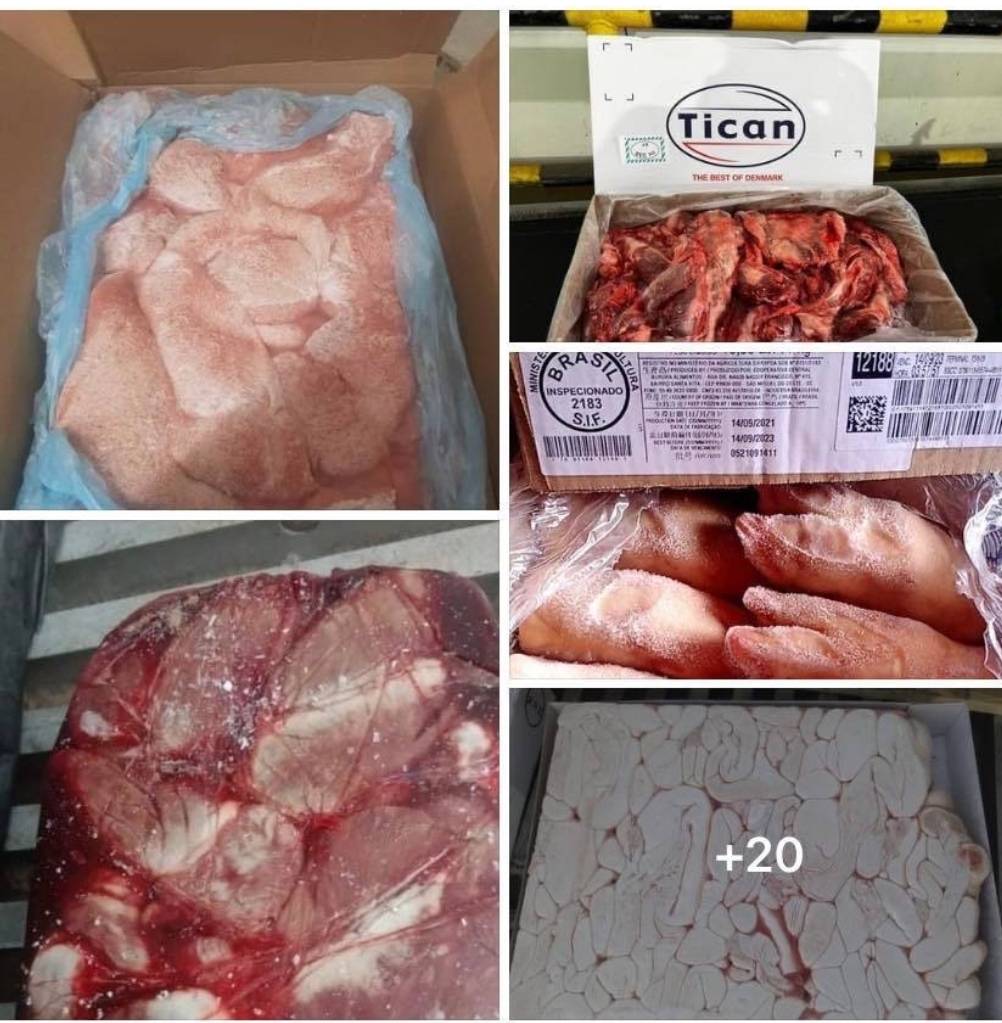 สมาคมผู้เลี้ยงสุกรแห่งชาติ จี้รัฐบาลเร่งปราบผู้ร้าย “หมูเถื่อน” 