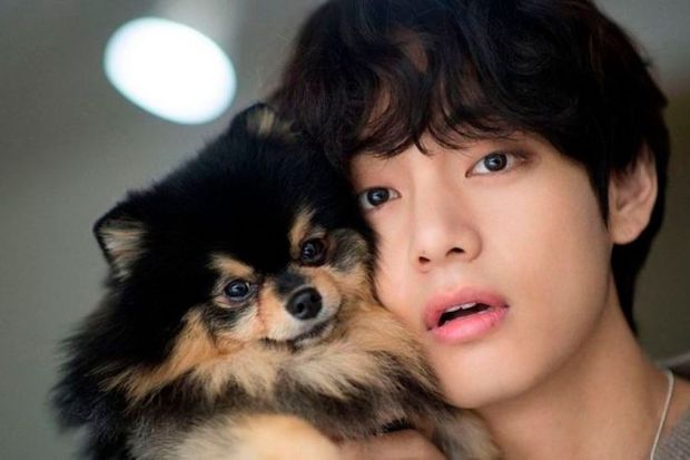 แฟนๆ ทั่วโลกอวยพรวันเกิด 'เจ้ายอนทัน’ น้องโฮ่งเซเลบของ ‘วี BTS’ แฟนๆ ทั่วโลกอวยพรวันเกิด 'เจ้ายอนทัน’ น้องโฮ่งเซเลบของ ‘วี BTS’