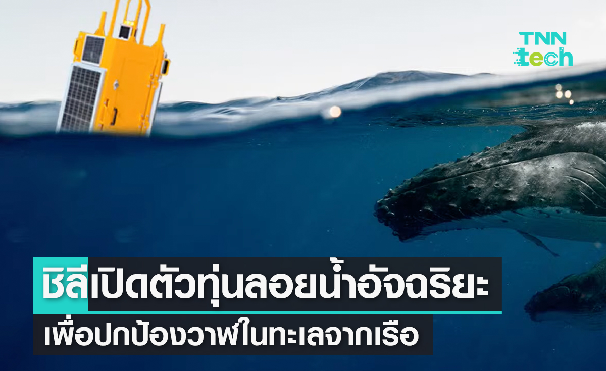 ชิลีเปิดตัวทุ่นลอยน้ำอัจฉริยะเพื่อปกป้องวาฬในทะเลจากการชนของเรือ