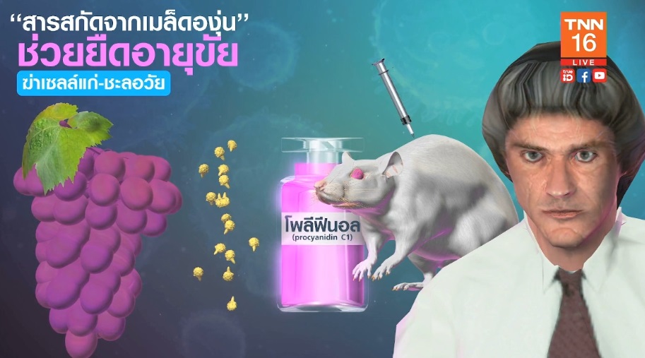 นักวิทย์จีนพบ“สารสกัดจากเมล็ดองุ่น”ช่วยยืดอายุขัย-ชะลอวัย