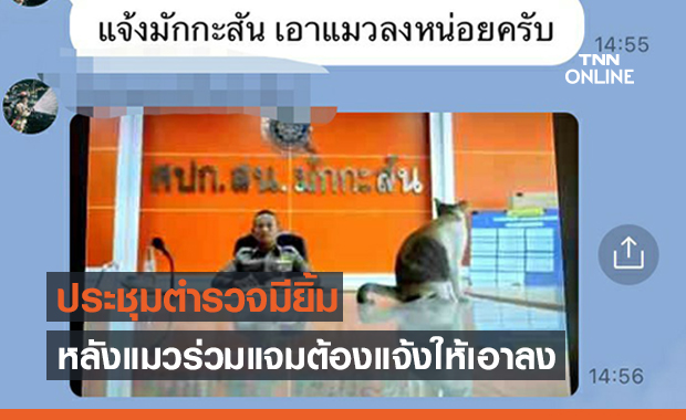 เอ็นดู! แมวป่วนประชุมตร. ต้องแจ้งด่วนเอาน้องลงด้วย