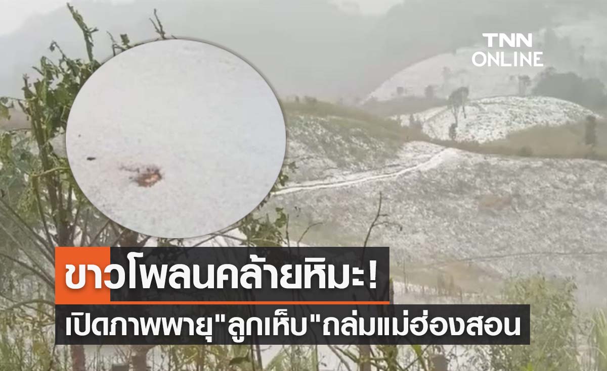 เปิดภาพพายุ "ลูกเห็บ" ถล่มอ.ปาย แม่ฮ่องสอน ขาวโพลนราวหิมะ!