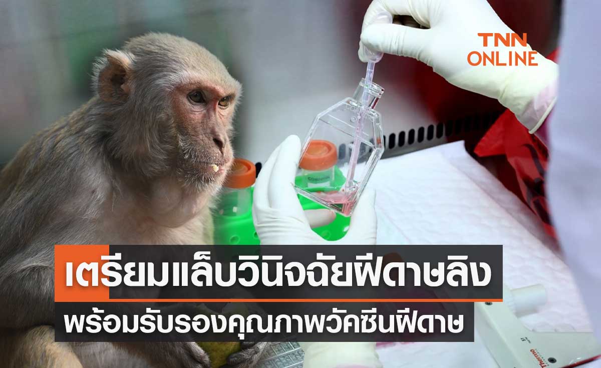 กรมวิทย์ฯ เตรียมพร้อมแล็บวินิจฉัยโรคฝีดาษลิง - รับรองคุณภาพวัคซีนฝีดาษ