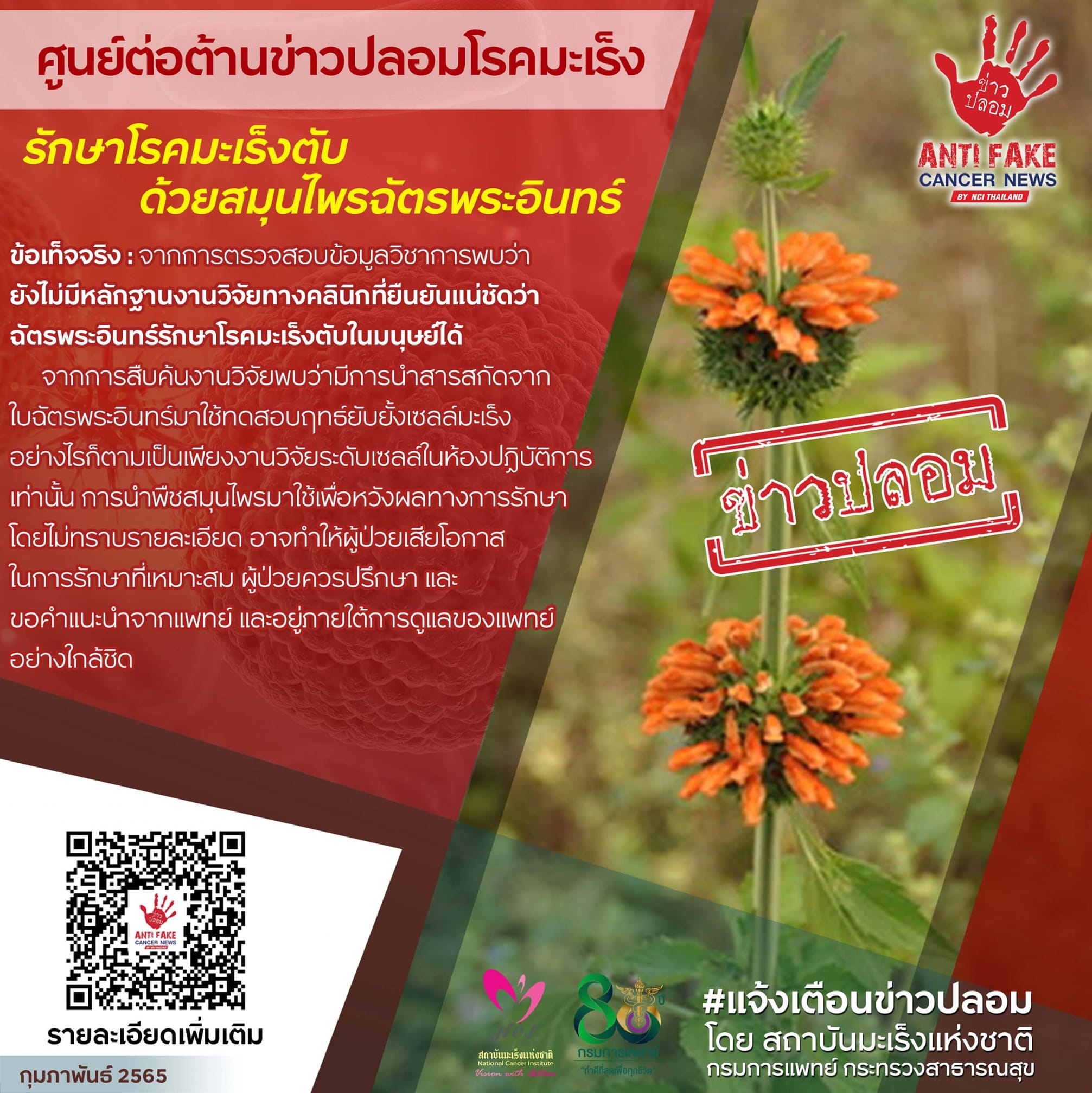 เตือนข่าวปลอม! รักษาโรคมะเร็งตับ ด้วยสมุนไพรฉัตรพระอินทร์ เตือนข่าวปลอม! รักษาโรคมะเร็งตับ ด้วยสมุนไพรฉัตรพระอินทร์