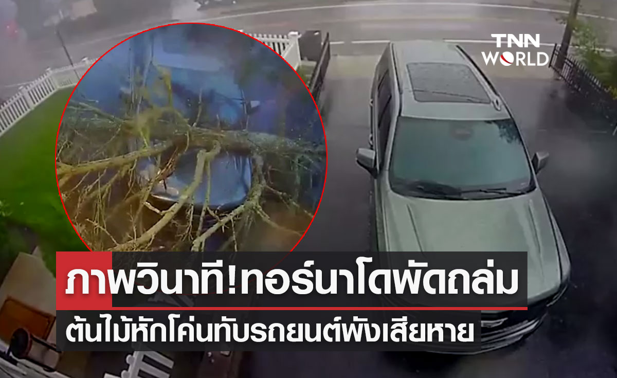 เปิดภาพวินาที! ทอร์นาโดระดับรุนแรงพัดถล่ม ต้นไม้หักโค่นทับรถยนต์พังเสียหาย