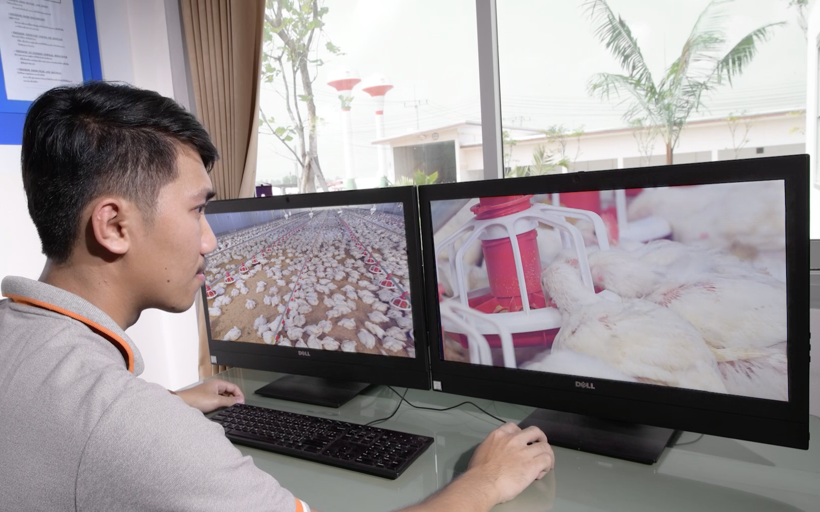 ซีพีเอฟได้รับรอง LR Farm F1rst ตอกย้ำการผลิตไก่เนื้อ ซีพีเอฟได้รับรอง LR Farm F1rst ตอกย้ำการผลิตไก่เนื้อ