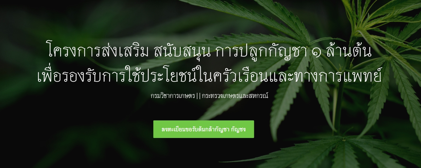 ลงทะเบียนที่นี่! register.doa.go.th 16 มิ.ย. นี้ แจกกัญชาฟรี 2 ต้นต่อครัวเรือน ลงทะเบียนที่นี่! register.doa.go.th 16 มิ.ย. นี้ แจกกัญชาฟรี 2 ต้นต่อครัวเรือน