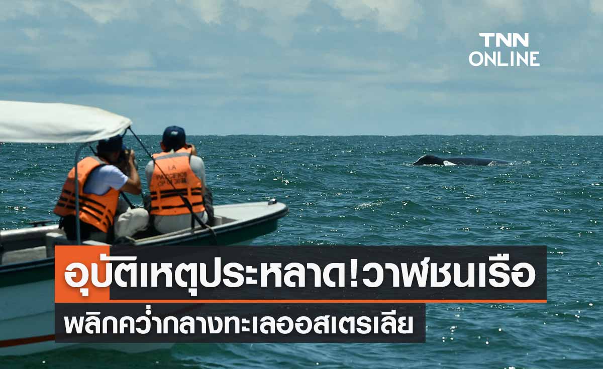 อุบัติเหตุประหลาด! วาฬพุ่งชนเรือคว่ำในออสเตรเลียเสียชีวิต 1 ราย
