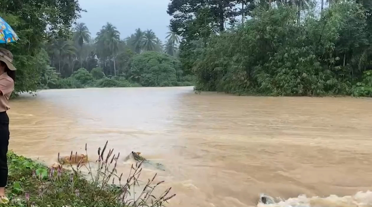 เปิดภาพน้ำป่าทะลัก อ.กาญจนดิษฐ์ ท่วมบ้านเรือน 250 หลัง เปิดภาพน้ำป่าทะลัก อ.กาญจนดิษฐ์ ท่วมบ้านเรือน 250 หลัง