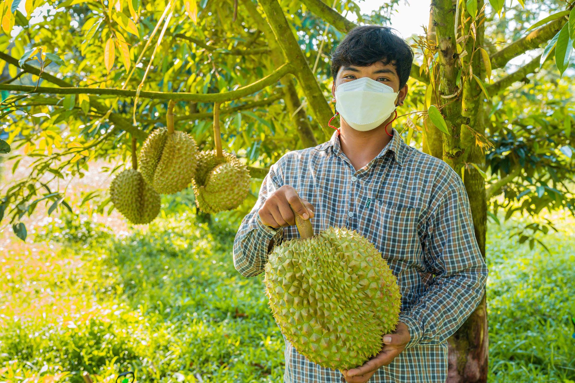 ห้ามพลาด! โลตัส จัดเทศกาล บุฟเฟ่ต์ทุเรียน 399 บาท นำร่องสาขารามอินทรา