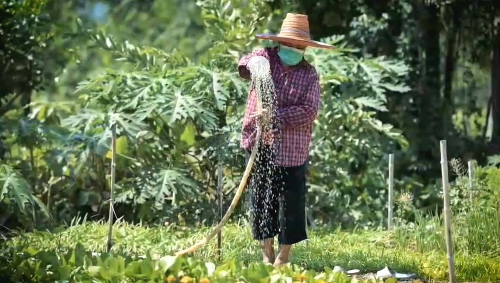 ตามไปดู CPF Greenfarm เลี้ยงหมูปลอดสาร เป็นมิตรสิ่งแวดล้อม ตามไปดู CPF Greenfarm เลี้ยงหมูปลอดสาร เป็นมิตรสิ่งแวดล้อม