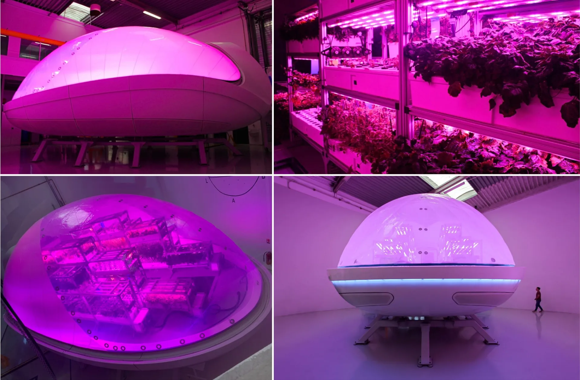 Biopods เรือนปลูกพืชที่อาจเป็นอนาคตของเกษตรบนอวกาศ Biopods เรือนปลูกพืชที่อาจเป็นอนาคตของเกษตรบนอวกาศ