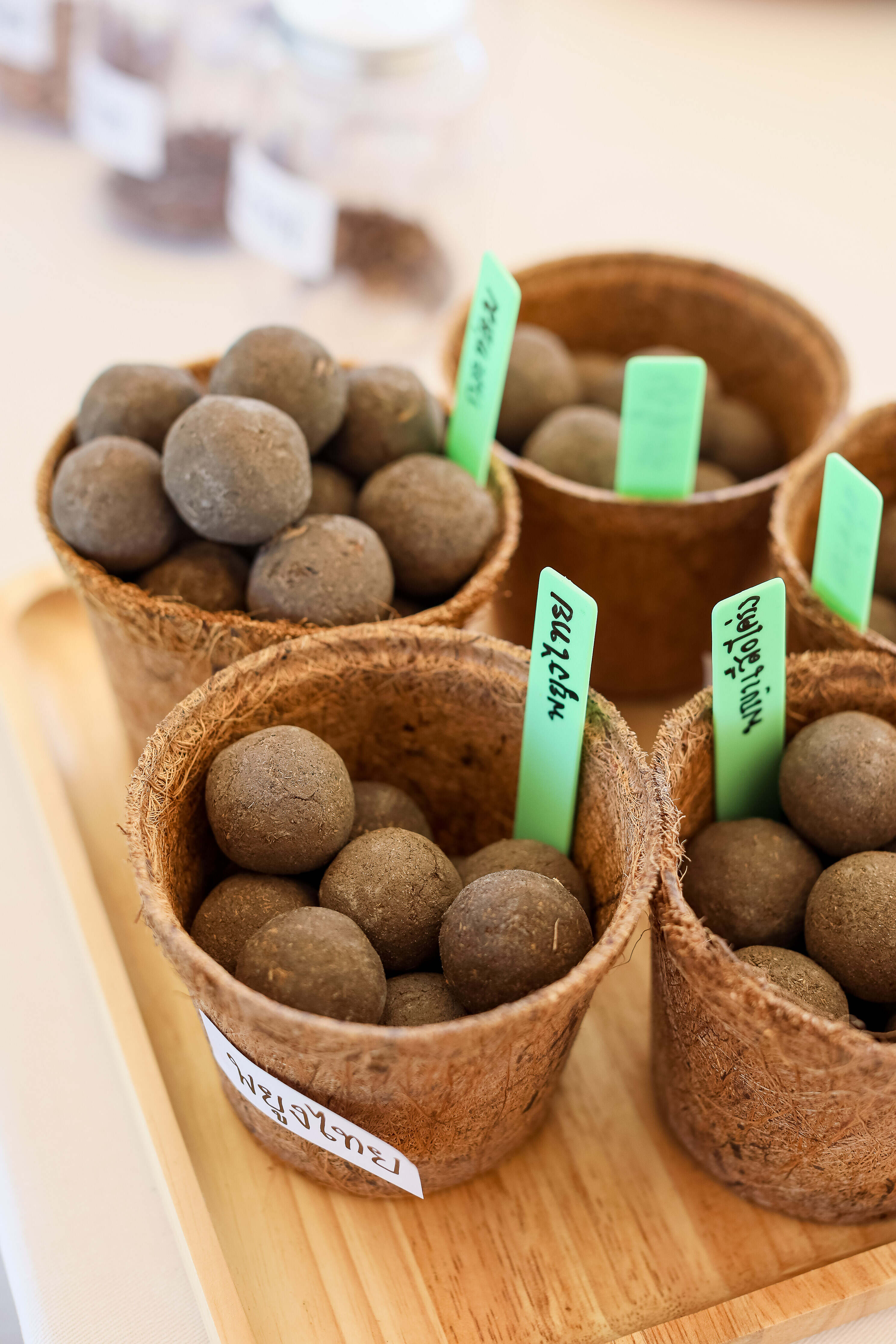 เนสเพรสโซจับมือวันเดอร์ฟรุ๊ต จัดกิจกรรม Nespresso x Wonderfruit Rice & Roast: Journey to Sustainable Farming