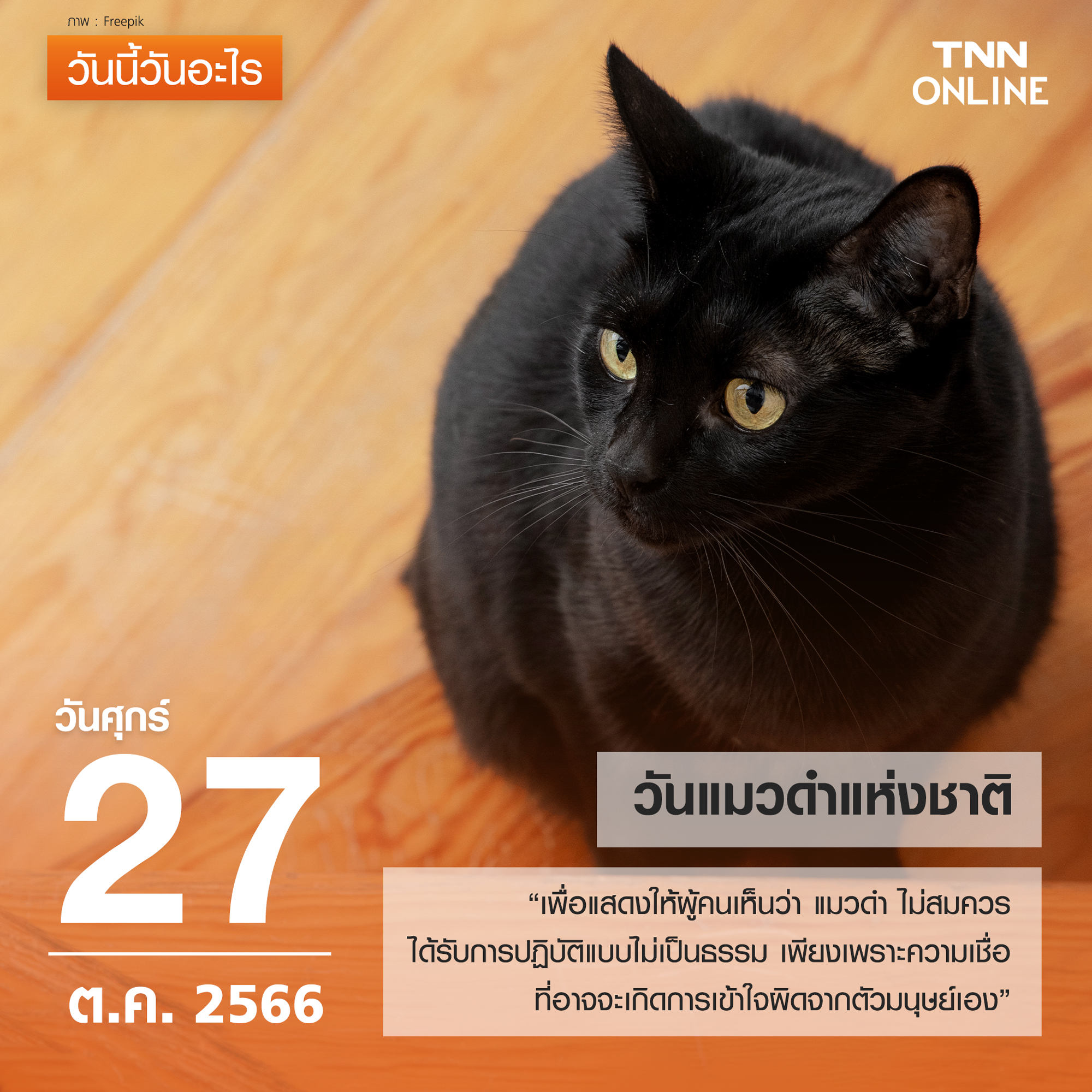 วันนี้วันอะไร 27 ตุลาคม ตรงกับ “วันแมวดำแห่งชาติ” วันนี้วันอะไร 27 ตุลาคม ตรงกับ “วันแมวดำแห่งชาติ”