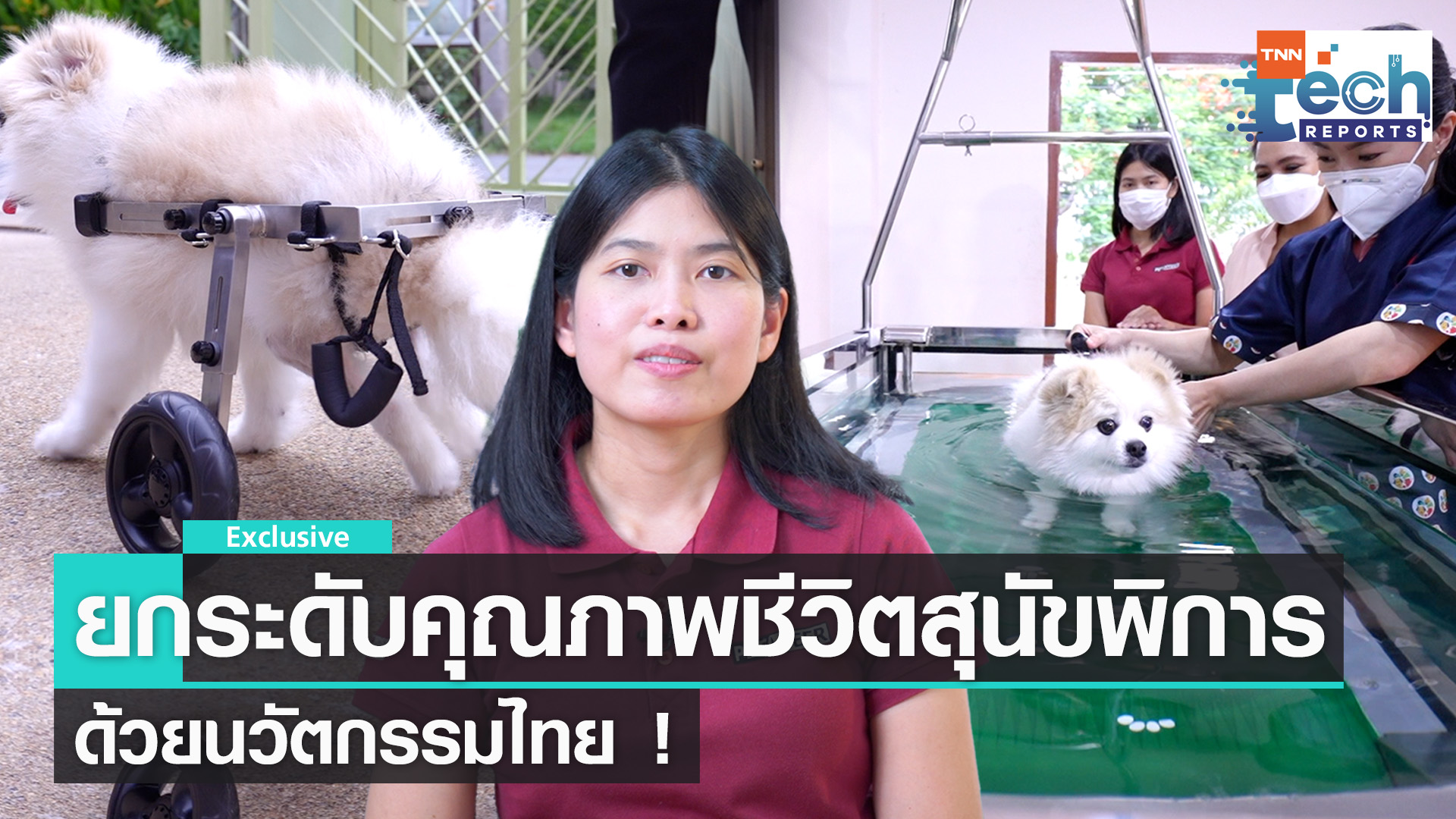 ยกระดับคุณภาพชีวิตสุนัขพิการ ด้วยนวัตกรรมไทย !